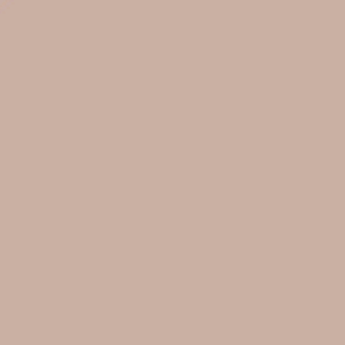 Natural Confetti Cottons Pewter Fabric - 43"/44" Per Yard