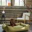 Lit pour chien en coton olive confort