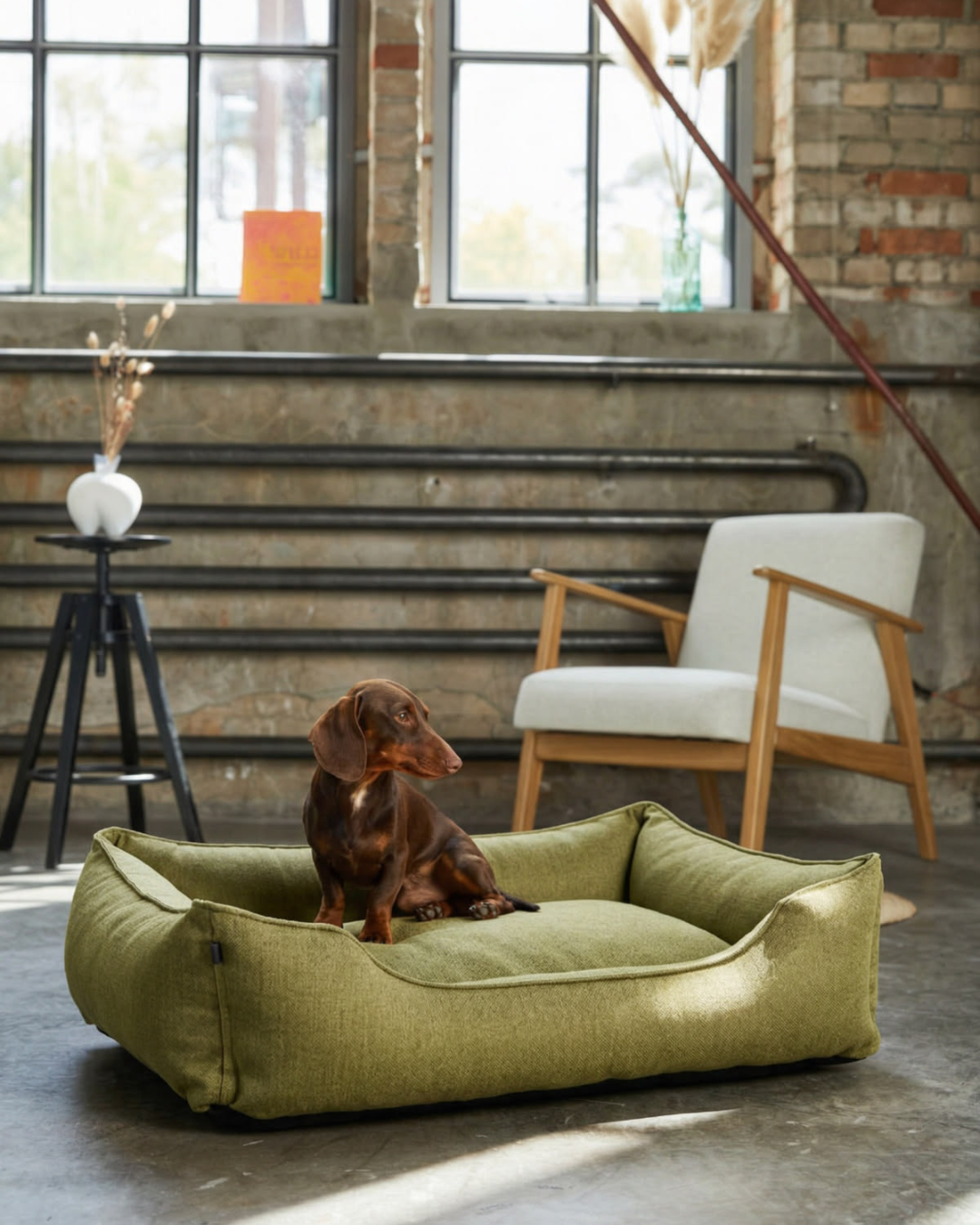 Lit pour chien en coton olive confort