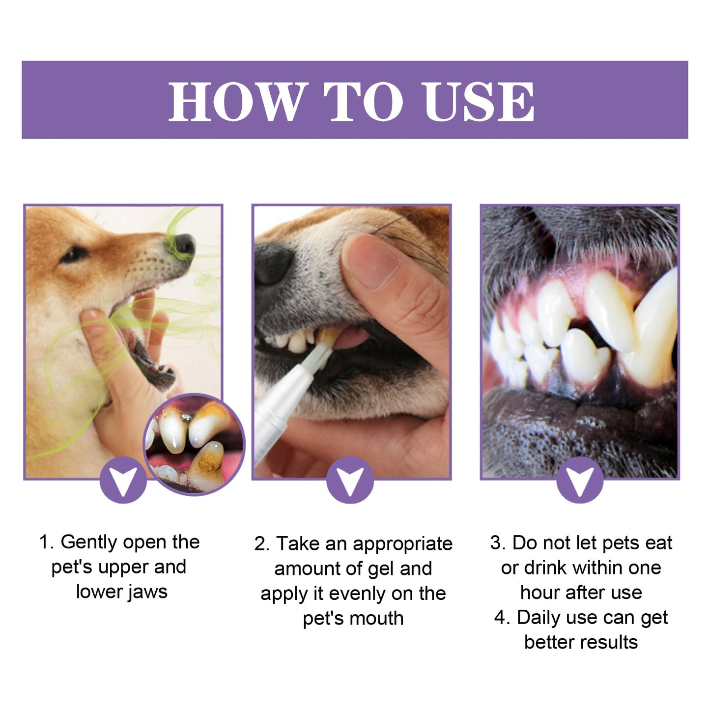 Gel Reparador Oral Premium para Perros y Gatos