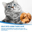 Pet Hair Daily Gentle Cleaning and Scented No-Rinse Care Essence for Cats and Dogs - Korvel