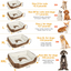 Cama de Perro de Lujo GBruno con Juguete Bonificado
