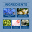 Blue Wind Chime Sleep Care Patch Night Care Sleep Fragrance Household Fragrance Essential Oil Patch - Korvel