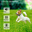 Gbruno Waterproof Dog Training Collar with Remote Control