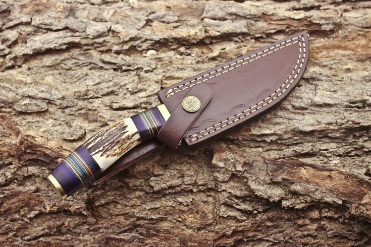 Artisan Crafted 1095 Steel Hunting Knife with Antler & Exotic Wood Handle – 11" | KBS Knives - Korvel