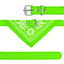 Bandana Ajustable GBruno pour Chiens
