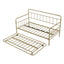 Elegant Bronze Metal Frame Daybed with Trundle