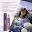 Women's Charm Perfume Lasting Fragrance Fresh Rose Elegant Fragrance Dating Commute Attractive Convenient Perfume - Korvel