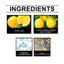 Premium Glass Cleaning Tablets for Windshield Clarity