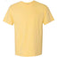 Smiley Face 4815 CC T-Shirt