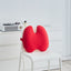 Lab Extra Dense Lumbar Pillow - Ergonomic Back Support Cushion