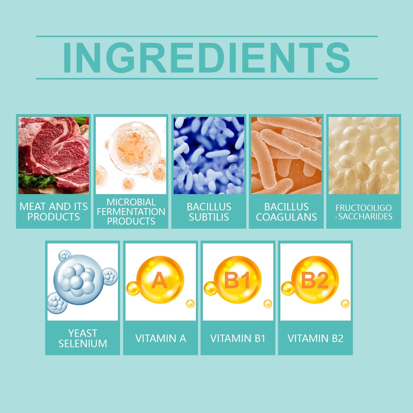 Premium Cat Probiotic Tablets for Digestive Balance