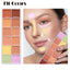 Fit Colors 12 Color Concealer Natural Moisturizing Long Lasting Concealer 3D Concealer - Korvel
