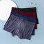 Men's Ice Silk Boxer Briefs - Breathable & Seamless