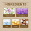 Thyme Flower Plant Sleep Essential Oil, Flower Essence Massage To Help Quiet Sleep Moisturize The Skin - Korvel