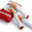 Dog cigarettes with box, sound making toys, pet toys, bite resistant and grinding plush toys, cat supplies - Korvel