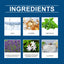 Lavender Scented Herbal Sleep Patch