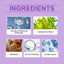 Premium Orchid Growth Nutrient Solution for Vibrant Blooms