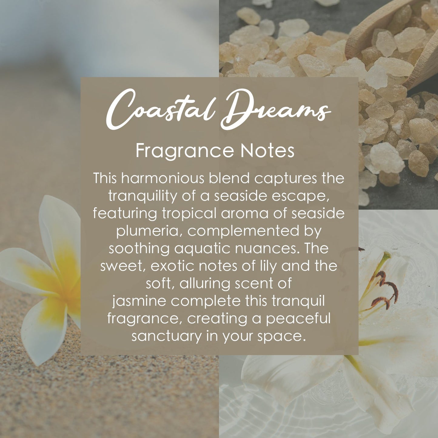 Ocean Bliss Crystal-Infused Premium Coconut-Soy Wax Melts - Korvel