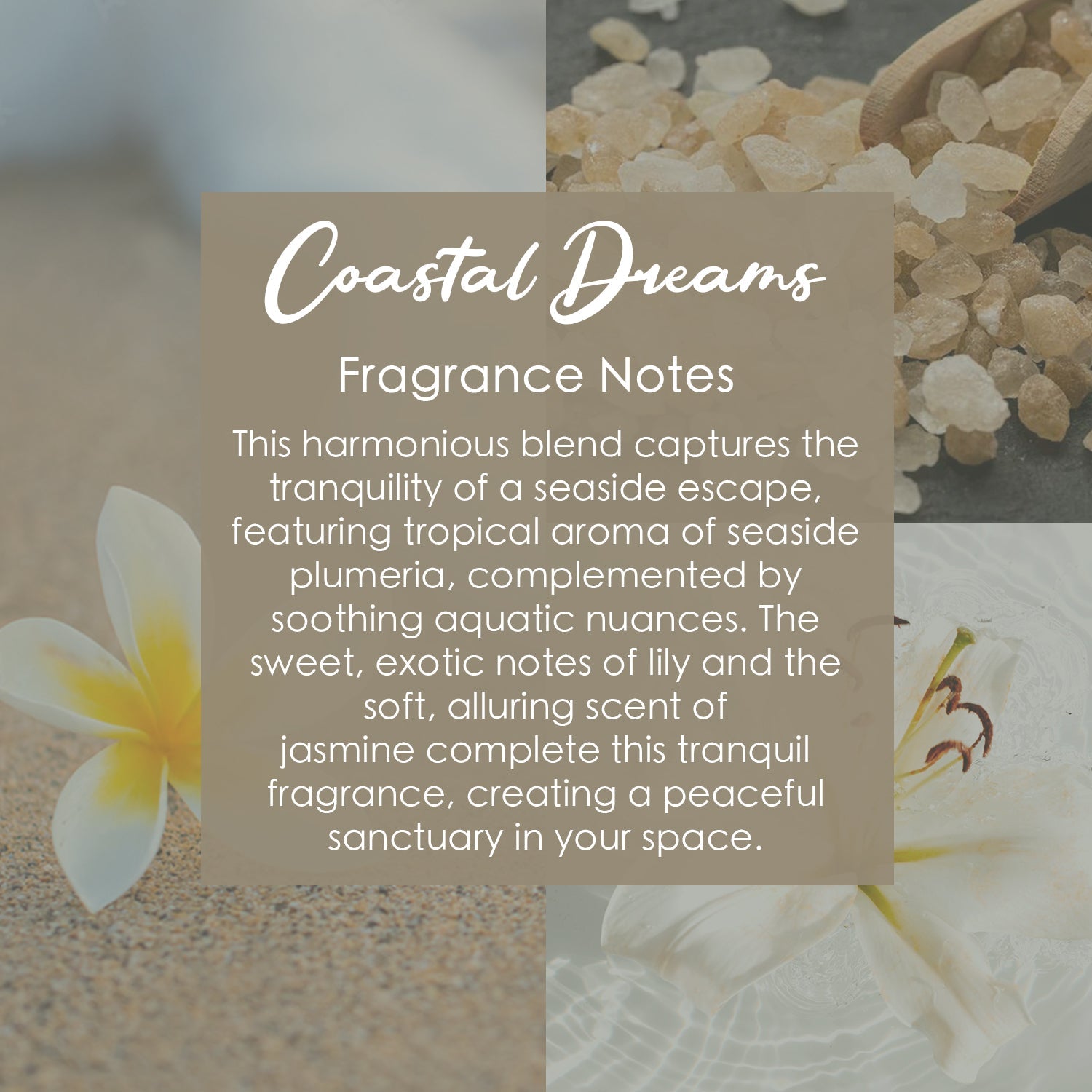 Ocean Bliss Crystal-Infused Premium Coconut-Soy Wax Melts - Korvel