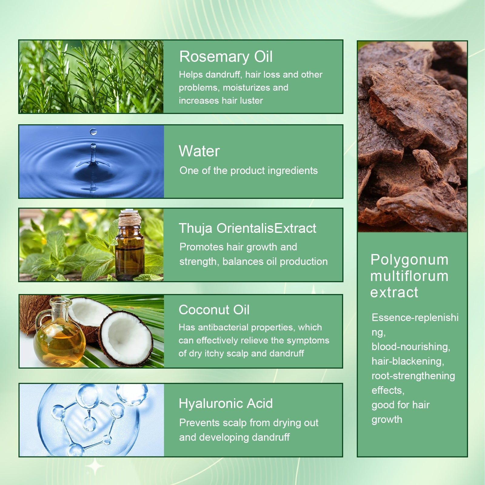 Rosemary Dense Hair Spray Hydrates Roots For Increased Elasticity Restoring Shine Anti-Set Hair Spray - Korvel