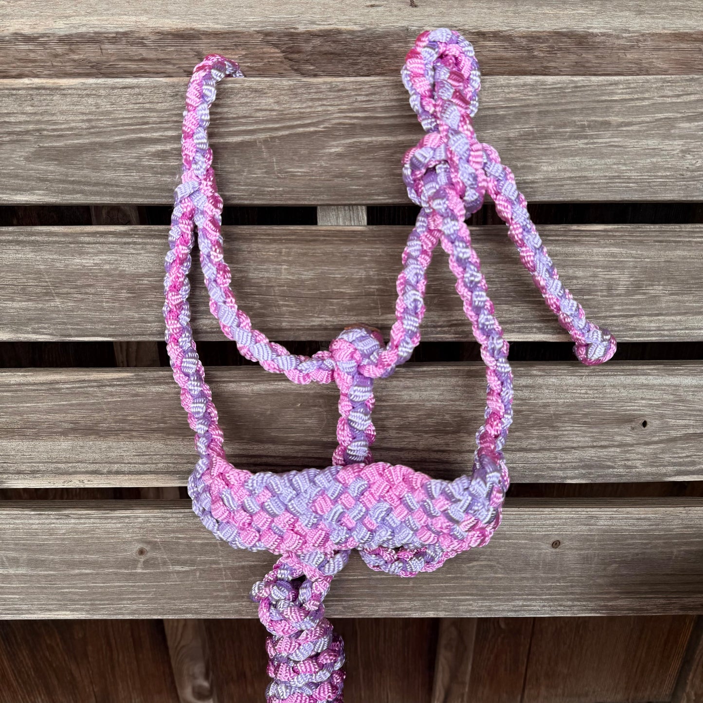 Halter LMB con Correa Desmontable