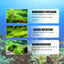 Premium Algae Removal Agent for Aquariums