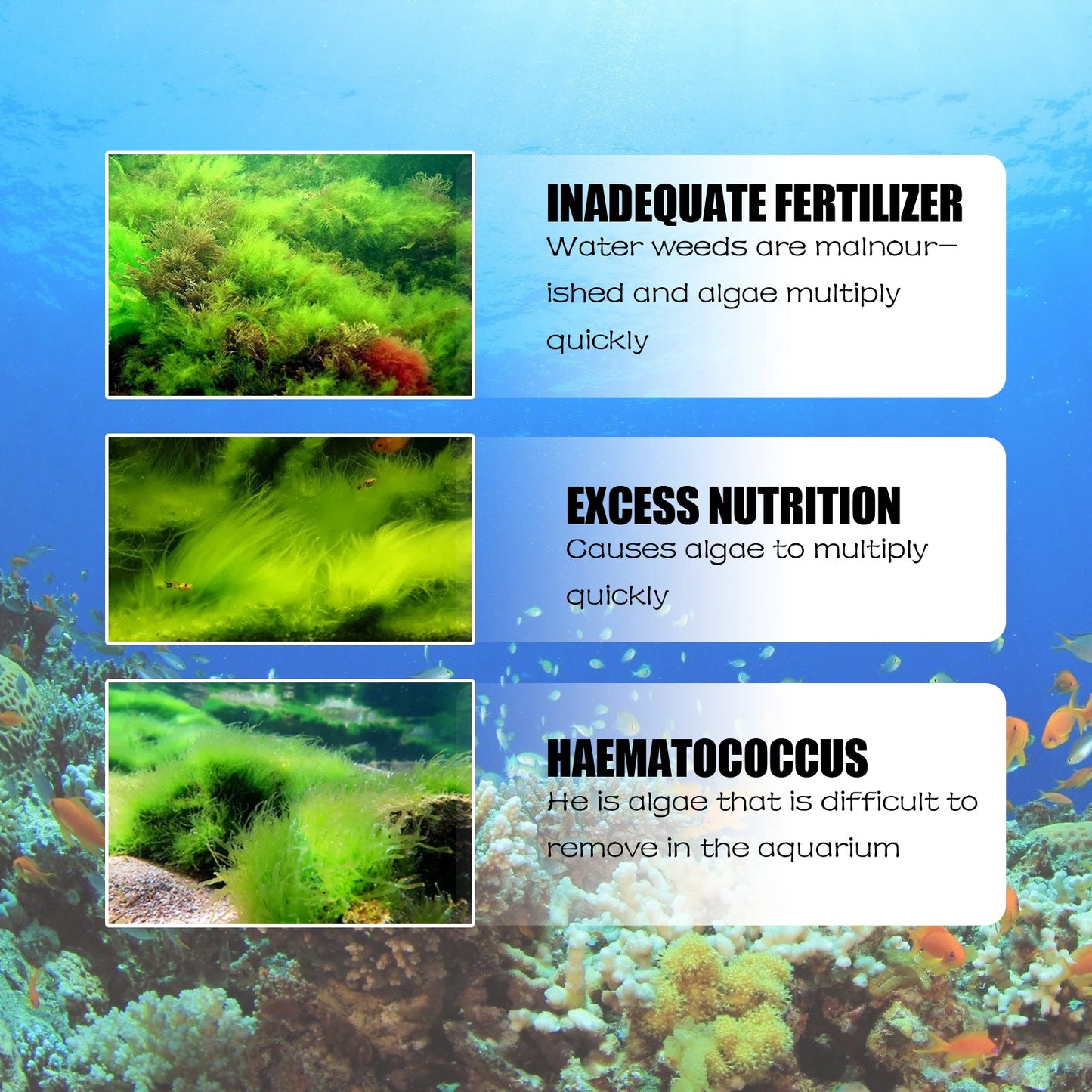 Premium Algae Removal Agent for Aquariums
