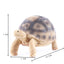 Turtle fish tank shaped handicraft resin ornaments - Korvel