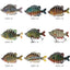 Six Section Yayu Bait Multi Section Bionic Fake Bait Fishing Gear Marine Fishing Supplies Tilapia Long Cast Submerged Bait - Korvel