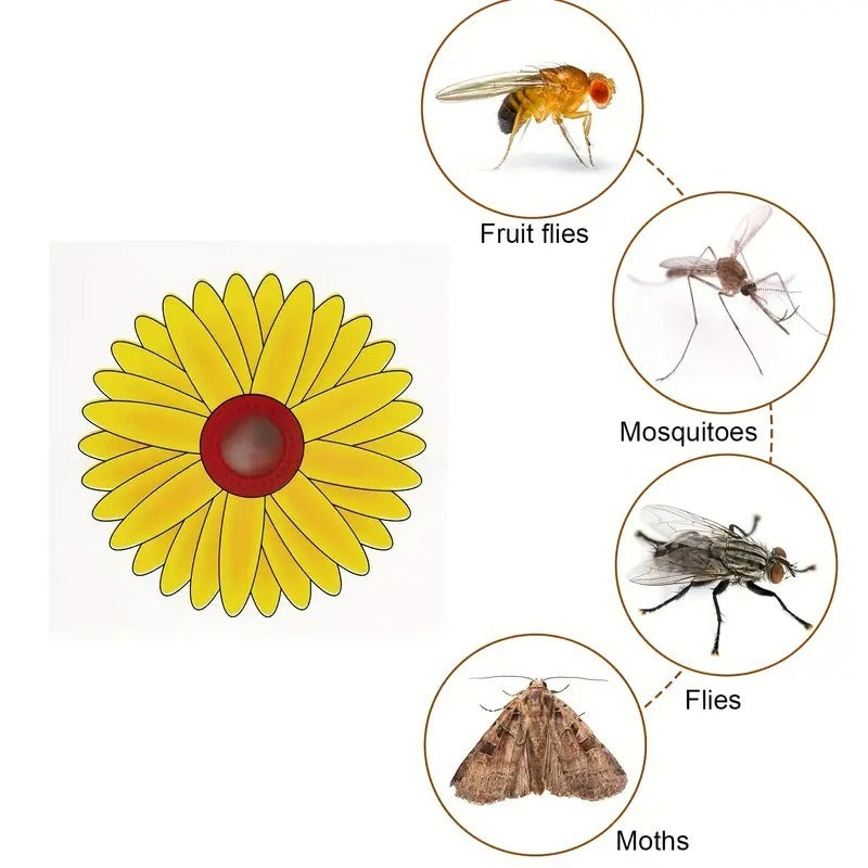 Pièges à mouches des fruits pour fenêtres en tournesol - Adhésif puissant pour une utilisation intér