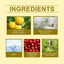 Lemon Fresh Yellow Perfume, Fresh Light Charming Charm Perfume Pheromone Fragrance Small Fruit Scent Perfume - Korvel