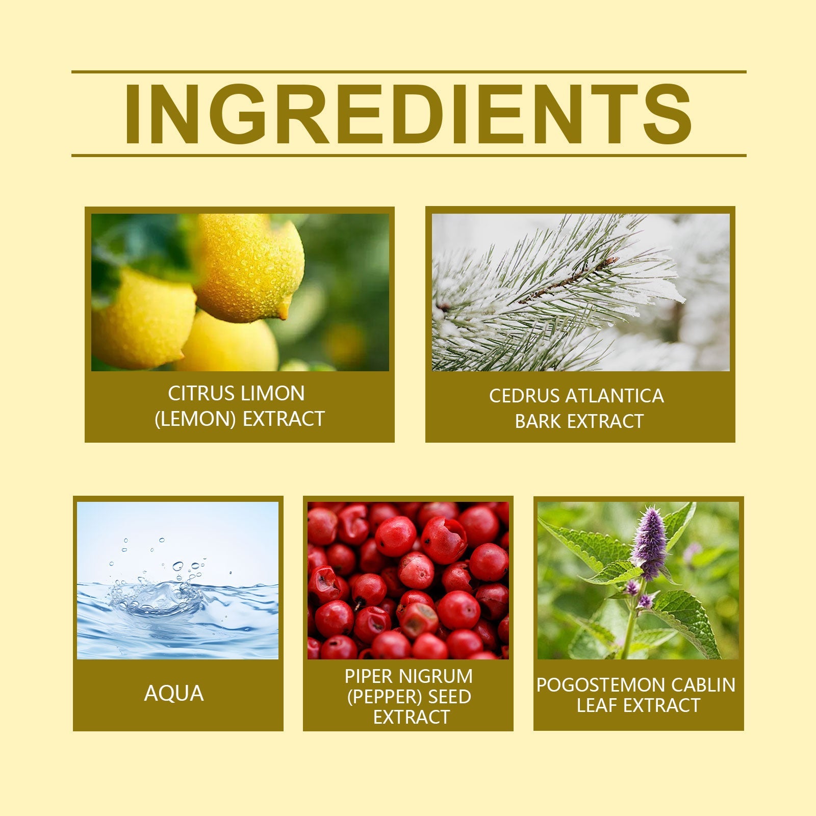 Lemon Fresh Yellow Perfume, Fresh Light Charming Charm Perfume Pheromone Fragrance Small Fruit Scent Perfume - Korvel