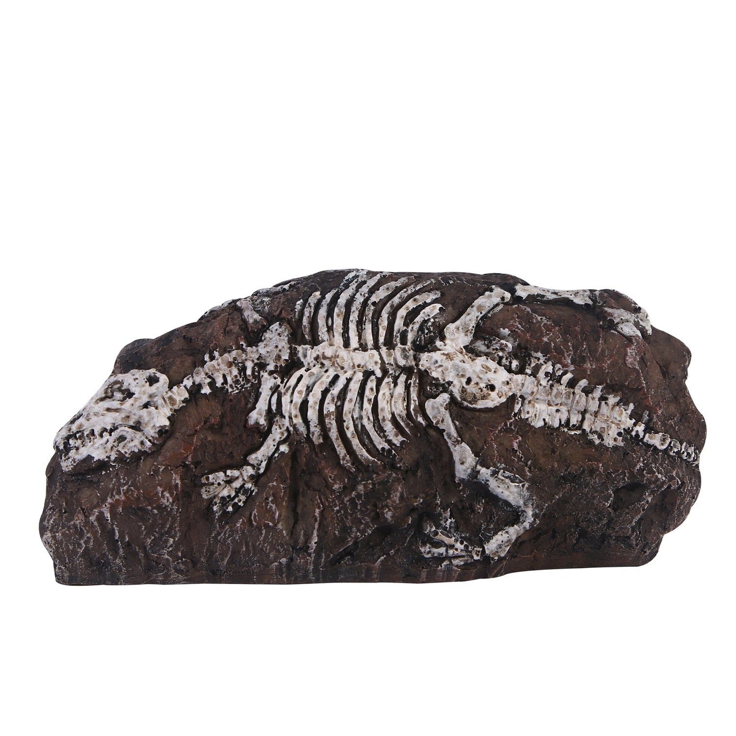 Fossil aquarium fish tank resin ornaments - Korvel