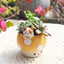 Horticultural Cartoon Creative Fun Mushroom Resin Flower Pot Container Desktop Landscape Potted Flower Utensils - Korvel
