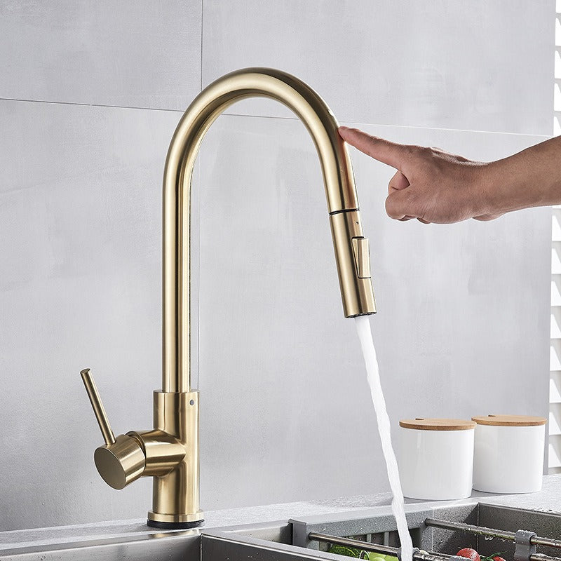 Premium 304 Stainless Steel Kitchen Faucet with Pull-Out Spray