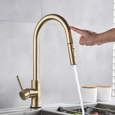 Premium 304 Stainless Steel Kitchen Faucet with Pull-Out Spray