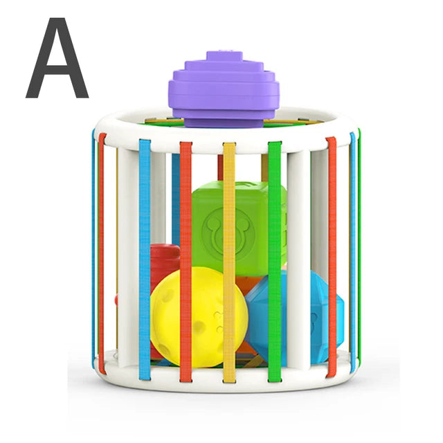 Montessori Geometric Shape Blocks for Infants