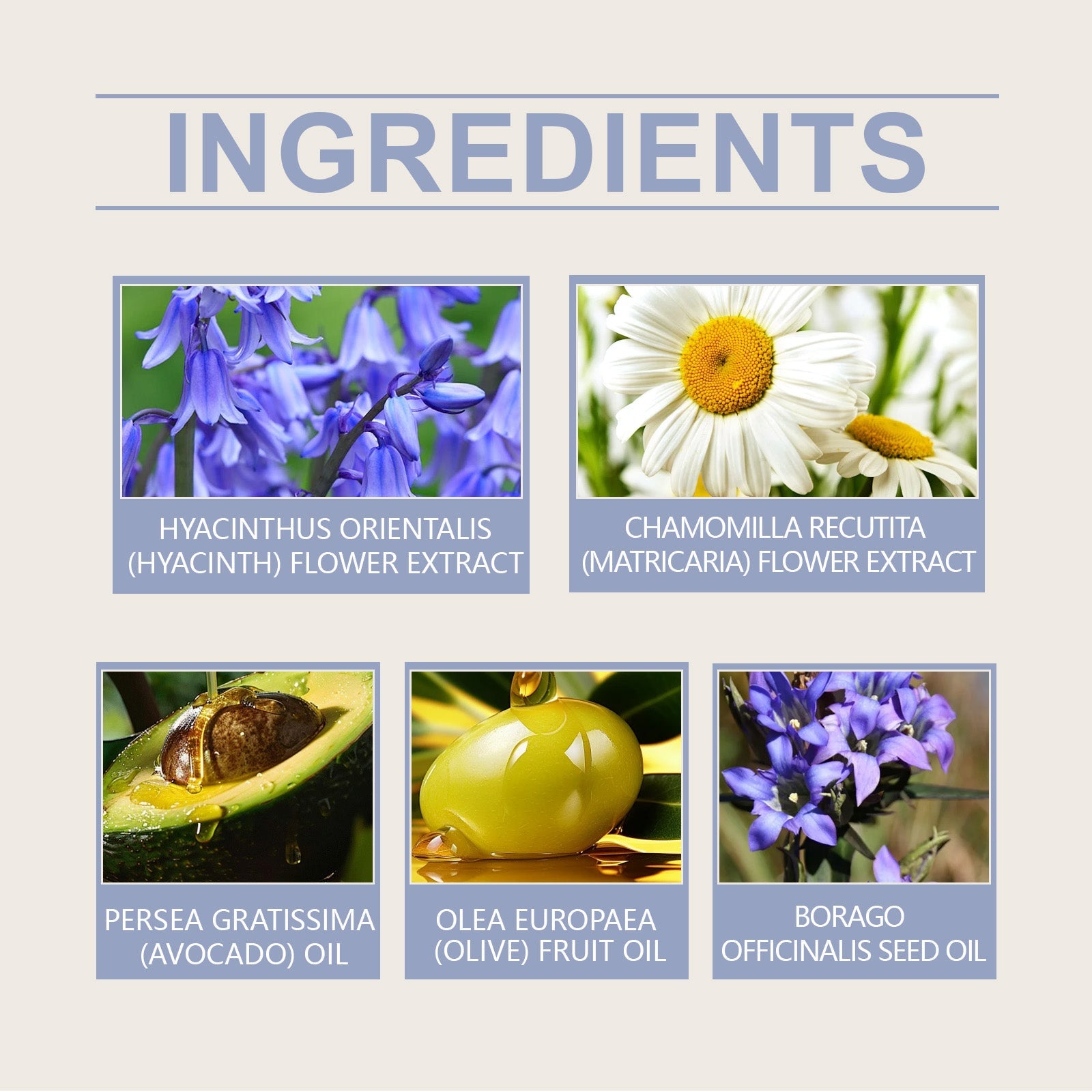 Blue Bell Soothing Essence Oil Soothing Hydrating Skin Care Nourishing Face Oil - Korvel