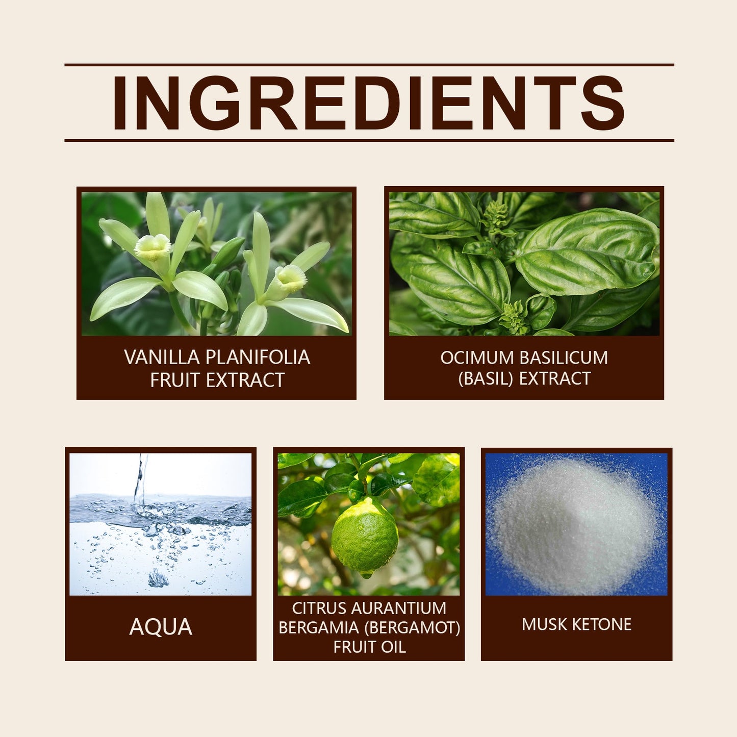 Vanilla Basil Perfume Mild Niche Vanilla Light Fragrance Stay Fragrance Lasting Dating Charm Natural Light Elegant Perfume - Korvel