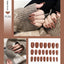 Premium Stiletto Press-On Nails with Glue - 24 Pieces