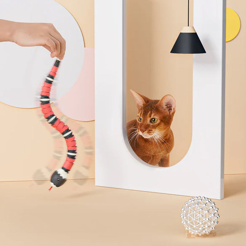 USB Rechargeable Interactive Cat Toy with Smart Sensing, an Automatic Electronic Snake for Kittens' Indoor Play. - Korvel