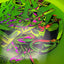 Disco Composite Era Signature - Edición Drew Gibson