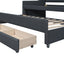 Twin Size Upholstered Daybed with Trundle and Three Drawers Grey - Korvel