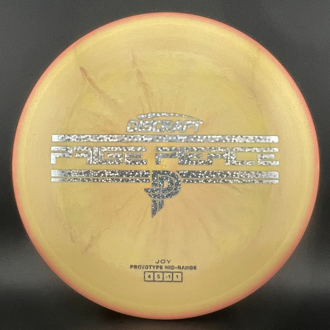 Swirl ESP Joy Disc - Paige Pierce Prototype
