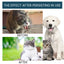 Gouttes de soutien immunitaire premium pour chats et chiens