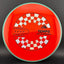 Disque de Golf Axiom Neutron Tempo