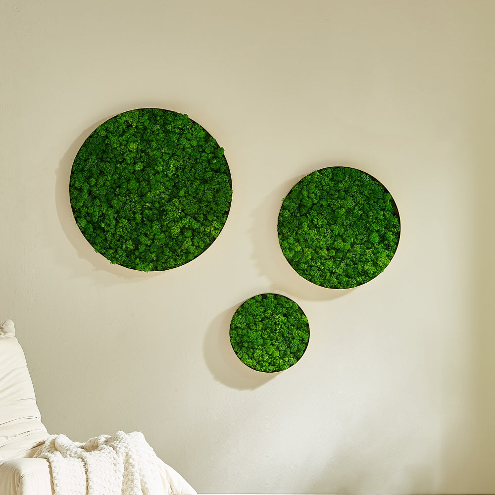 Round Framed Moss Wall Decor, only the Large - Korvel