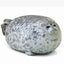 3D Novelty Seal Plush Toys Sea Lion Stuffed Throw Pillow Soft Seal Plush Party Hold Pillow Baby Sleeping Pillow Chair Cushion - Korvel