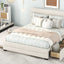 Queen Upholstered Platform Bed with Twin Size Trundle and Two Drawers  Beige - Korvel